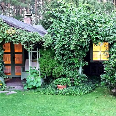 Domek Letniskowy Na Kaszubach Lub Apartament Z Kominkiem بوتسك المظهر الخارجي الصورة