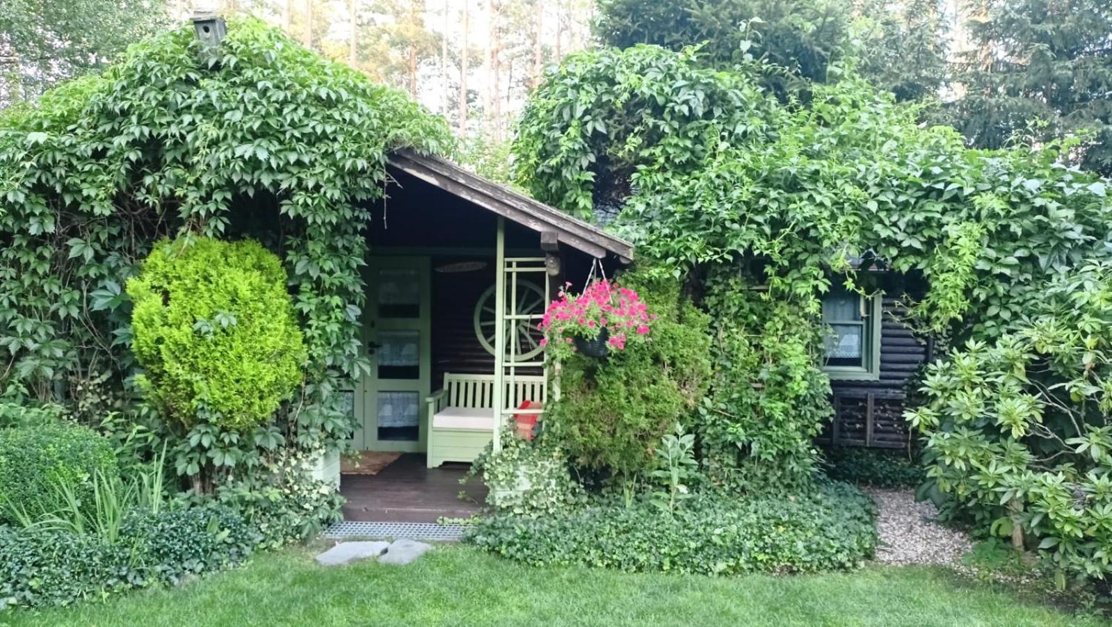 Domek Letniskowy Na Kaszubach Lub Apartament Z Kominkiem بوتسك المظهر الخارجي الصورة