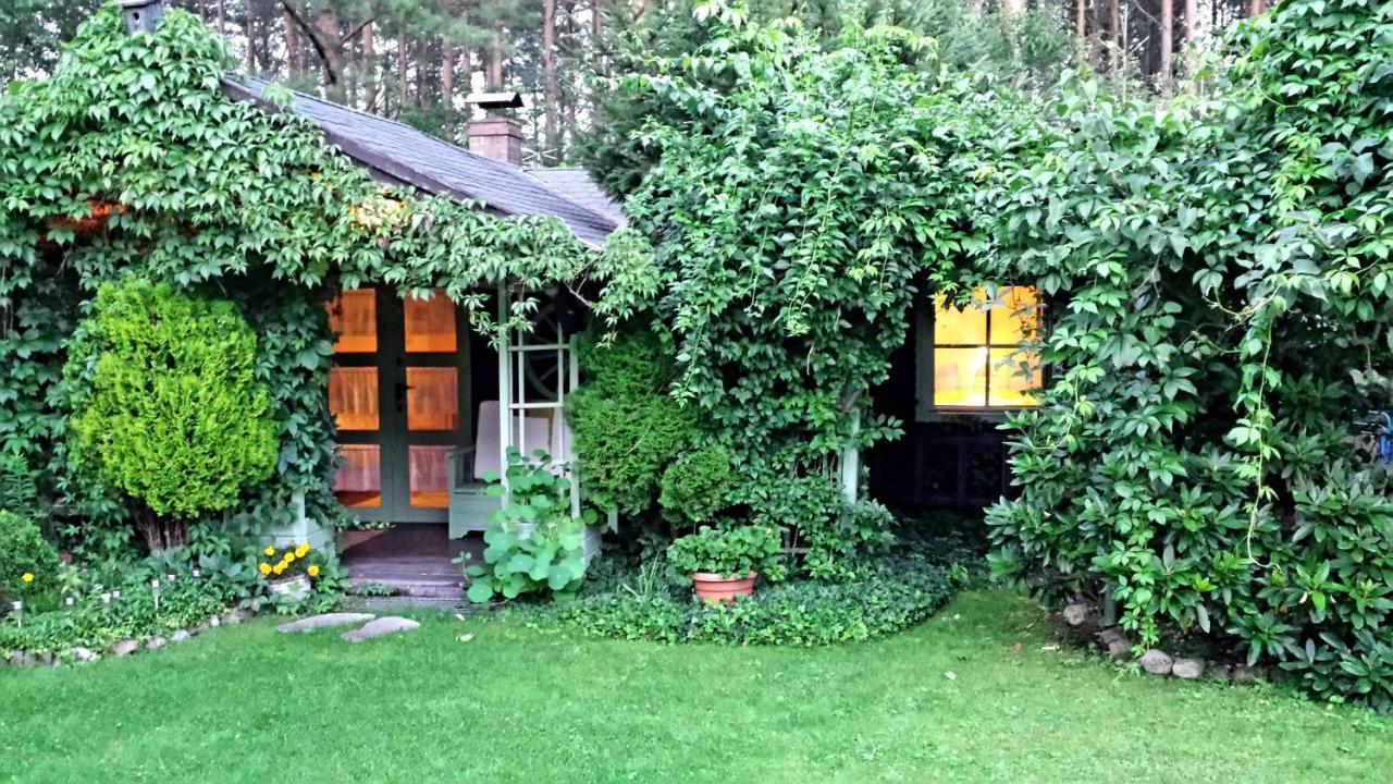 Domek Letniskowy Na Kaszubach Lub Apartament Z Kominkiem بوتسك المظهر الخارجي الصورة