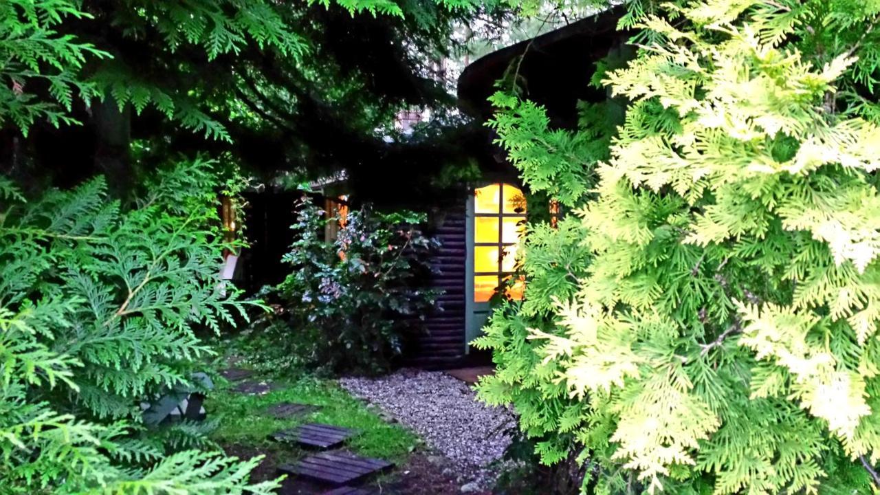 Domek Letniskowy Na Kaszubach Lub Apartament Z Kominkiem بوتسك المظهر الخارجي الصورة