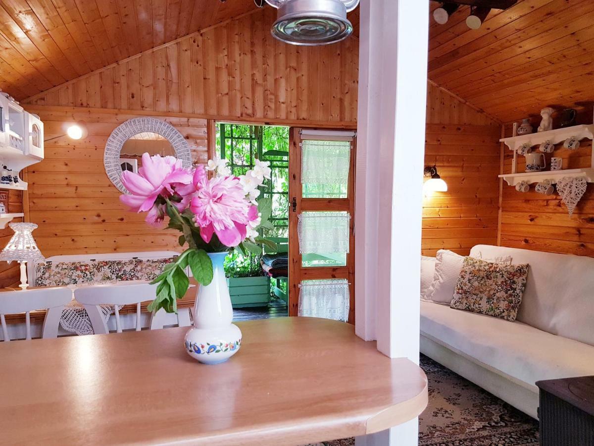 Domek Letniskowy Na Kaszubach Lub Apartament Z Kominkiem بوتسك المظهر الخارجي الصورة