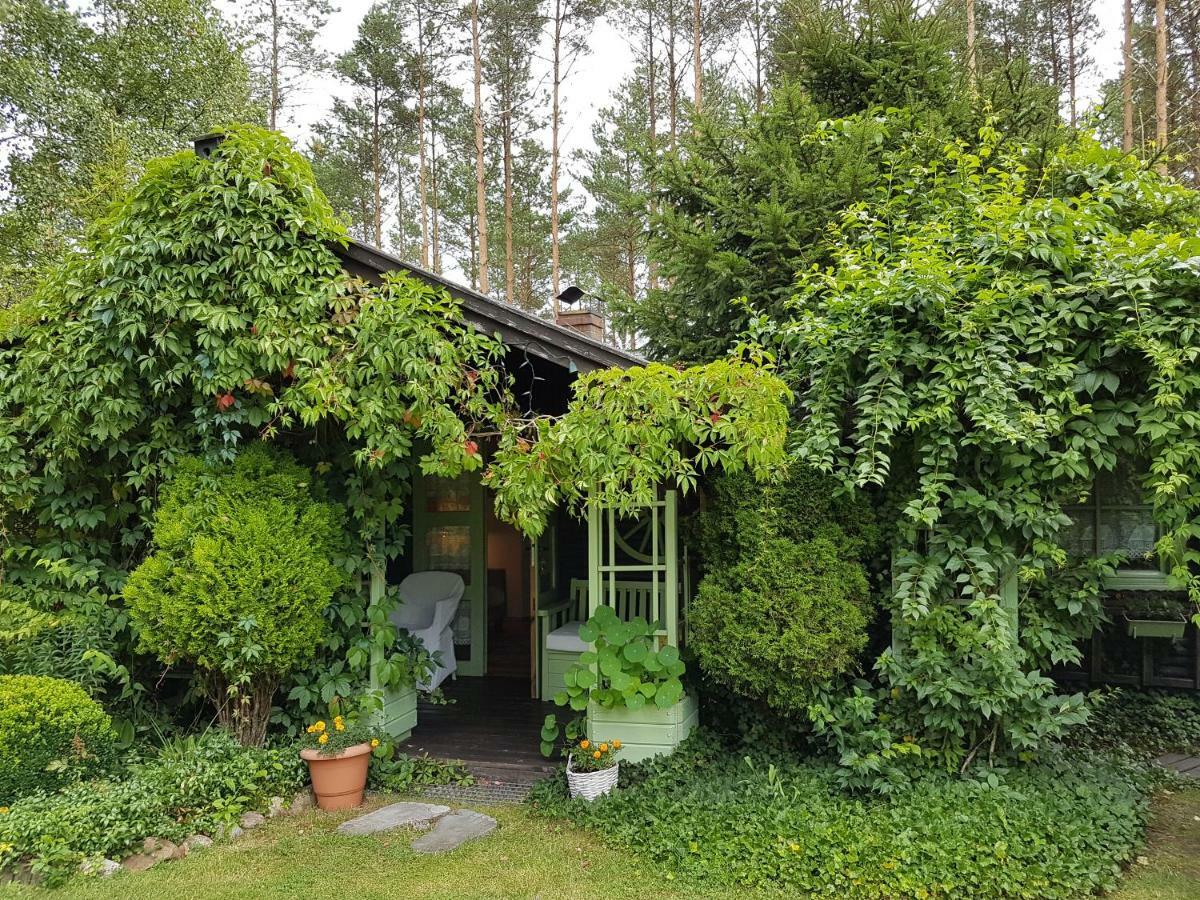 Domek Letniskowy Na Kaszubach Lub Apartament Z Kominkiem بوتسك المظهر الخارجي الصورة