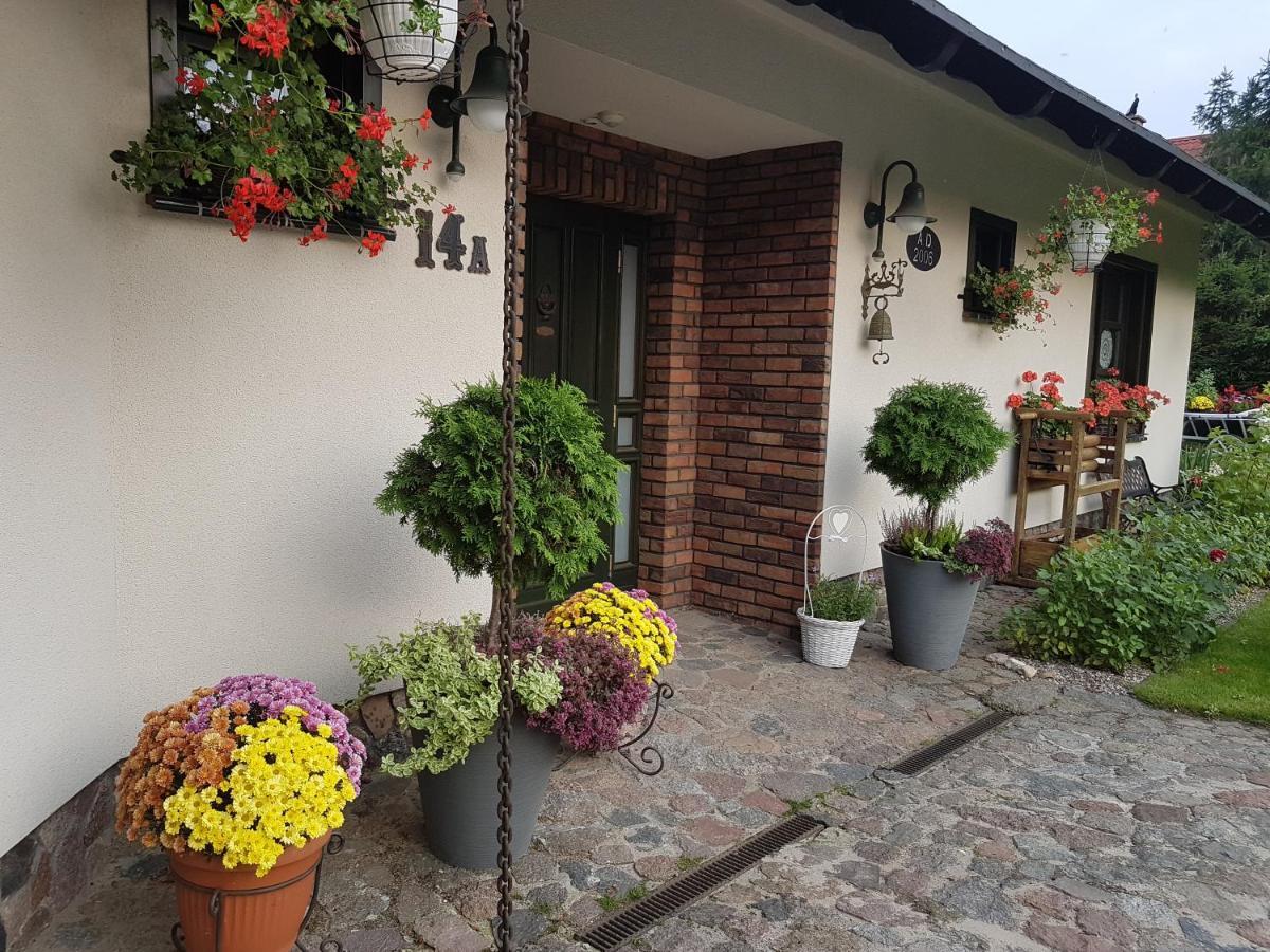 Domek Letniskowy Na Kaszubach Lub Apartament Z Kominkiem بوتسك المظهر الخارجي الصورة